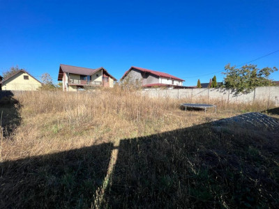 Teren - Geamana - Str. Mesteacanului - Comision 0%!