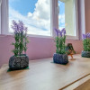 Parcul Motodrom apartament renovat si mobilat, 2 camere thumb 3