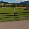 Teren intravilan 10.000 mp, Poiana Negrii - Via Transilvanica  thumb 4