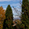 Apartament 2 camere, etaj intermediar- str Marasesti thumb 17