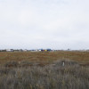 Teren intravilan parcelat   thumb 5