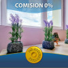 Apartament cu 2 camere, complet renovat si mobilat - Sos. Colentina thumb 10
