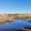 Vila la alb, cu teren de sport si iesire la lac, in Ostratu thumb 19