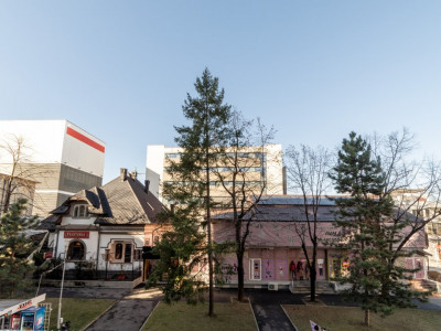 Apartament ultracentral cu 3 camere - vis a vis de Trattoria