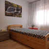 Apartament 2 camere in vila renovat si mobilat Luica/Zetarilor  thumb 10