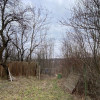 Teren intravilan 10 euro mp cu panorama superba + padure Loc. Albota Arges thumb 5