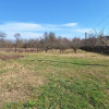 Teren Intravilan Langesti, Arges - 2021 mp thumb 5