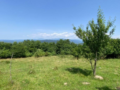 Teren 5478 mp Valea Mare-Selari, langa C-lung,Jud.Arges. Comision 0 %