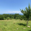 Teren 5478 mp Valea Mare-Selari, langa C-lung,Jud.Arges. Comision 0 % thumb 1