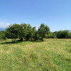 Teren 5478 mp Valea Mare-Selari, langa C-lung,Jud.Arges. Comision 0 % thumb 2