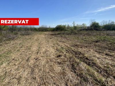 Teren 2000 mp intravilan loc. Albota. Comision 0%