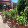 De vanzare Casa Exceptionala P+M in Voluntari thumb 15