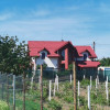 Casa trainica de vanzare in Gruiu ! thumb 24