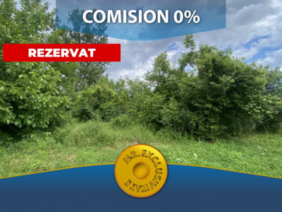 Teren 700 mp Stefanesti,jud. Arges. Comision 0%