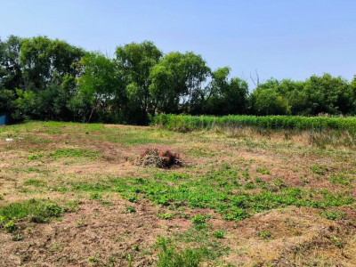 Vanzare teren intravilan 2413 mp; Comision 0%; Domnesti