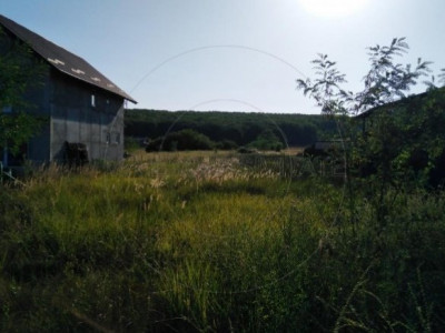 Comision 0% - Teren Hintesti intravilan