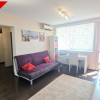 Apartament 2 camere Pta Muncii, langa Parcul Gheorghe Petrașcu thumb 1