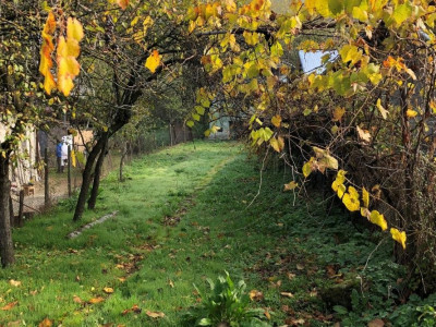 COMISION 0% PENTRU CUMPARATOR - TEREN STEFANESTI STRADAL