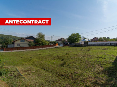 Teren Intravilan, Bascov 1351 MP Comision 0%