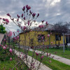 Casa pe parter cu teren generos - Topoloveni, Argeș thumb 2