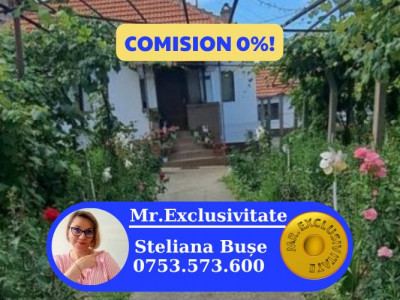 Casă tradițională cu teren generos la țară – Gorj, Șomănești