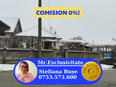 Proprietate rară – 2 case + livadă, vie și teren generos, la 20 km de Târgu Jiu