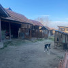 Casă tradițională cu teren generos la țară – Gorj, Șomănești thumb 7