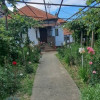 Proprietate rară – 2 case + livadă, vie și teren generos, la 20 km de Târgu Jiu thumb 2