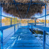 Casa Balotesti 6300 mp teren - Lac si Ponton thumb 11
