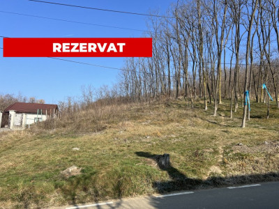 Teren 895 mp Hintesti panorama superba la padure