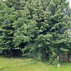 Casa cu teren la Polovragi  thumb 11