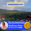 Oportunitate de investiție – Pensiune de vânzare în stațiunea Rânca, jud. Gorj thumb 1