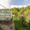 Două case la marginea pădurii – Proprietate de vânzare în Bascov! thumb 26