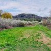 Casa Topoloveni - curte si livada, 3000 mp teren thumb 19