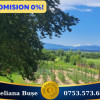 Teren 7661 mp în Șomănești, cu 2 case, livadă și vie pe rod thumb 1