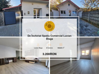 De Închiriat Spațiu Comercial Lucian Blaga