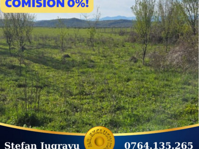 Teren de vânzare în Târgu Jiu