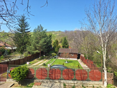 CASA DE VACANTA - UN MIC COLT DE RAI , STEFANESTI, ARGES