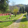 CASA DE VACANTA - UN MIC COLT DE RAI , STEFANESTI, ARGES thumb 8