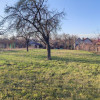 De vânzare Casă 2 camere cu Teren 1323 mp, 2 fronturi - Grădina Viilor - Carei thumb 4