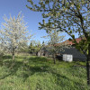 Teren Intravilan 980 mp Carei -GrădinaViilor Zona Str. Livezilor - Comision 0%  thumb 11
