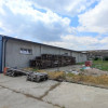 De Vânzare Fermă Pișcolt Teren 64.000 mp- Pișcolt SM - Comision 0% cumpărător thumb 9
