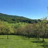 Teren 12.225 mp - Aranghel, jud. Valcea thumb 1