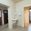 Inchiriere Clădire Producție, Depozitare, Birouri-Teren 3140 mp - Carei   thumb 8