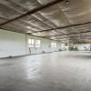  Clădire Industrială Hală Producție, Depozitare, Birouri-Teren 3140 mp - Carei   thumb 4