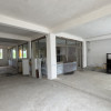  Clădire Industrială Hală Producție, Depozitare, Birouri-Teren 3140 mp - Carei   thumb 15