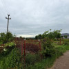 Teren Intravilan Padurea Noroieni thumb 8