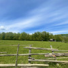 Teren Intravilan 5.000 mp in Traisteni, Valea Doftanei thumb 1