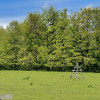 Teren Intravilan 5.000 mp in Traisteni, Valea Doftanei thumb 2
