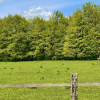 Teren Intravilan 5.000 mp in Traisteni, Valea Doftanei thumb 3